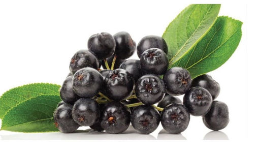 Picture of Aronia