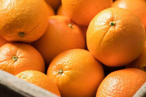 Picture of Oranges (1KG)