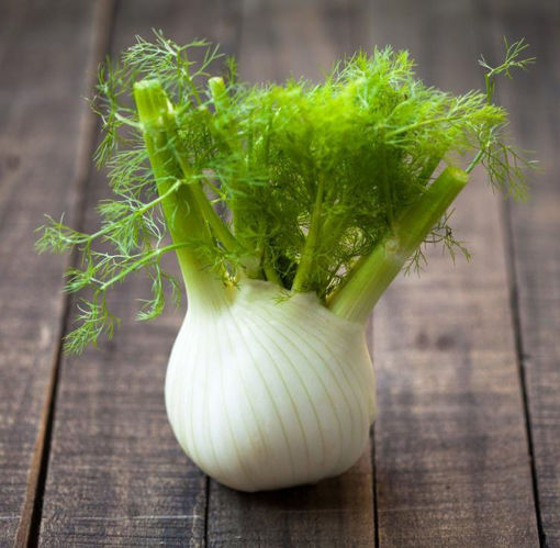 Picture of Fennel (1 KG)